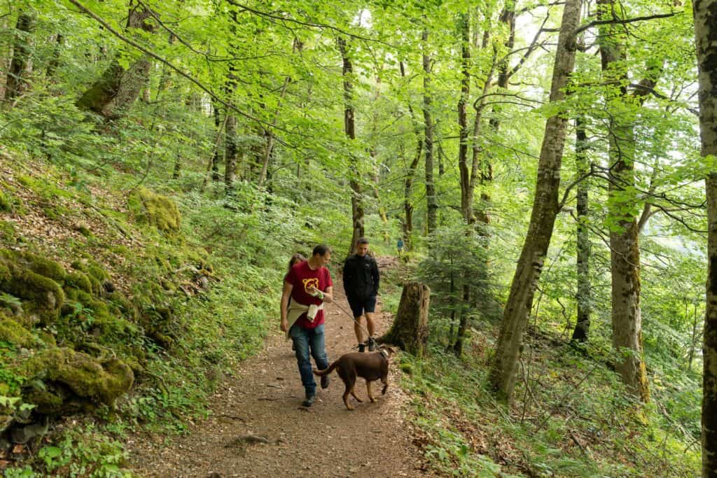 Family walking in the woods with their dog on a leash
