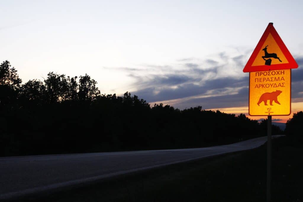 Road signs warning of the danger posed by wild animals