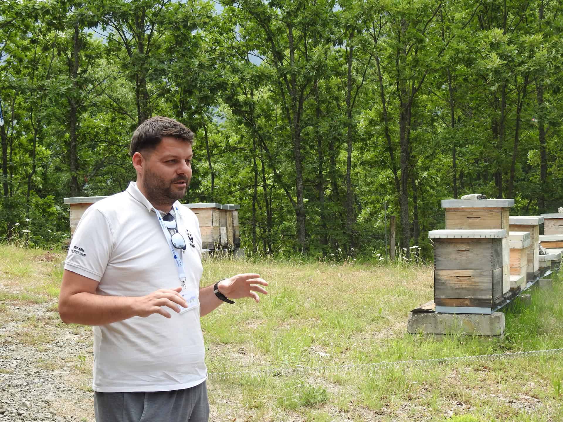 An expert speaks near some beehives.