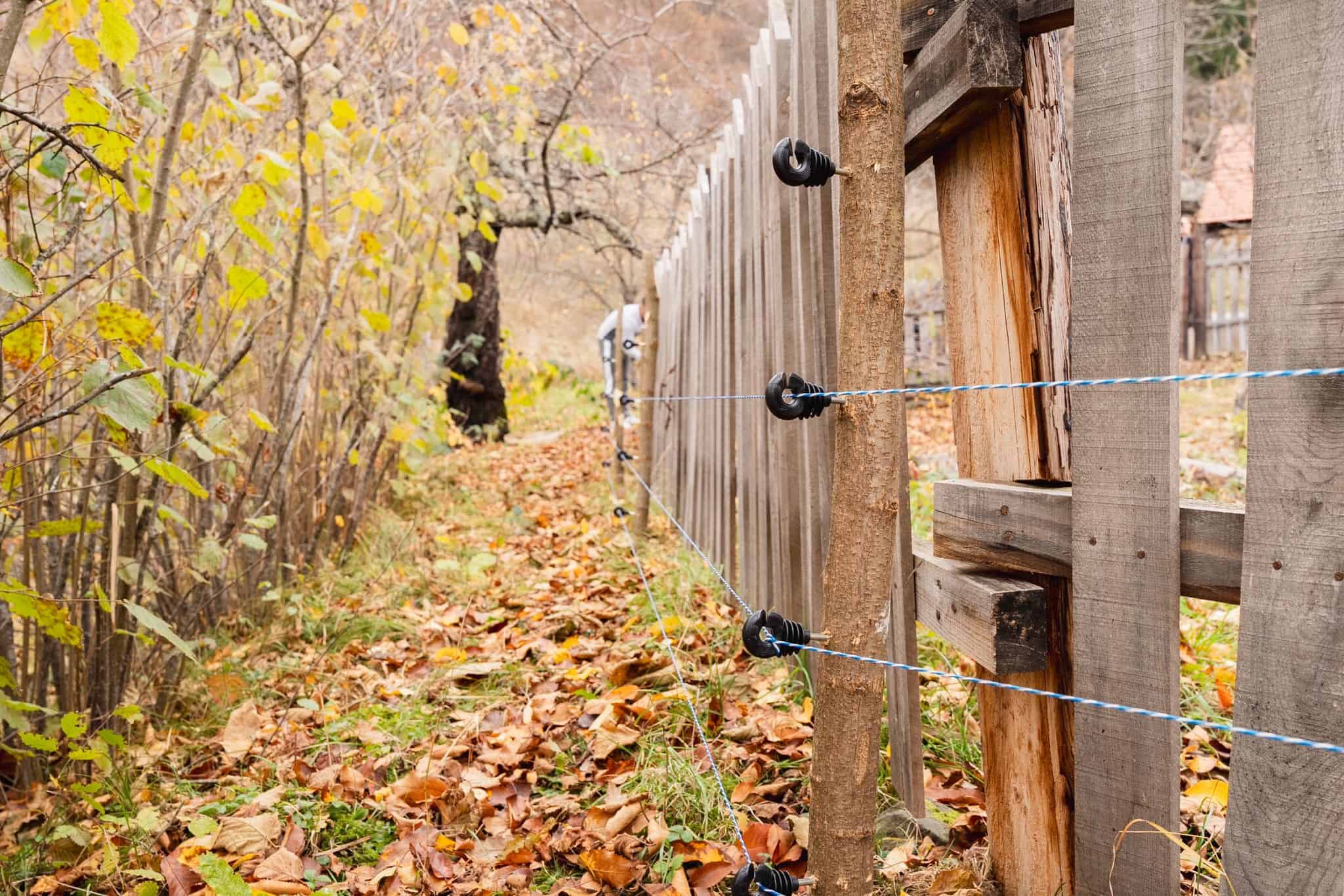 Electric fence