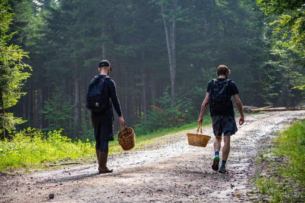 Mushroom pickers walk along a path